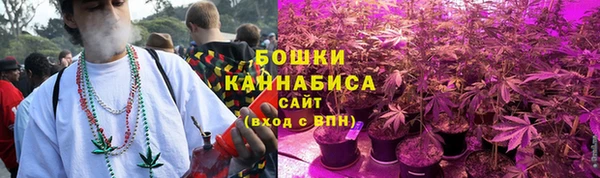 индика Верхнеуральск